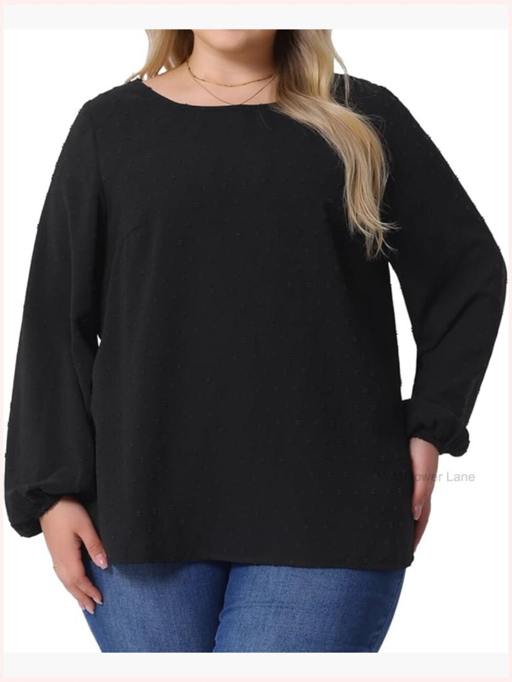 Plus Size Crewneck Chiffon Blouse Swiss Dot Long Sleeve Tunic Top